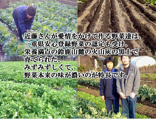 ���ݥ륿�����ѥ����ˤϡ���ƣ�������ڤ��礫���ޤ���
