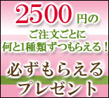 生パスタ ピザのプレゼント
