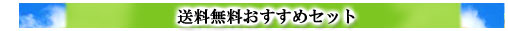 送料無料おすすめセット