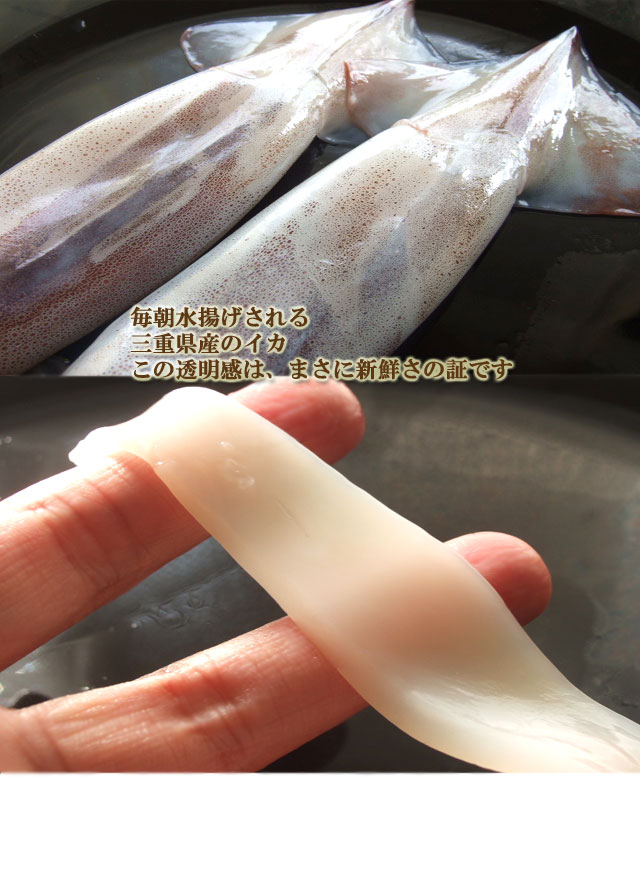 ����Ʃ�����Ͽ������ξڤǤ�